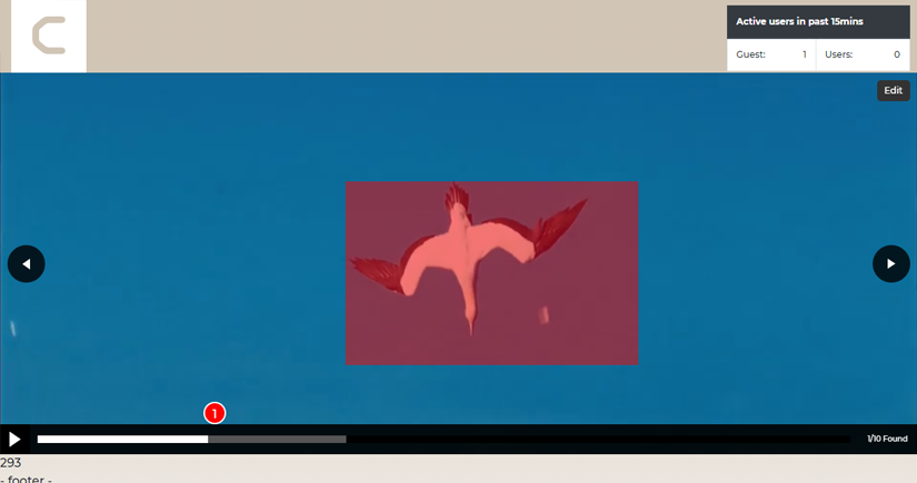 Video Tracking Prototype